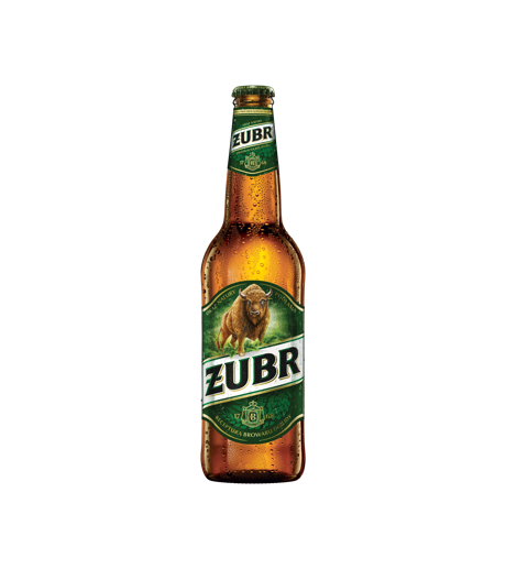 ŻUBR